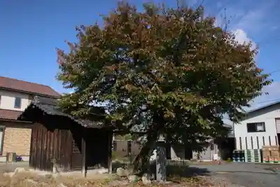 行座神社 旧跡(滋賀県)