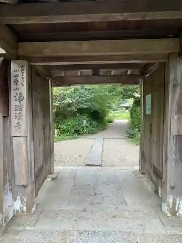 浄瑠璃寺(京都府)