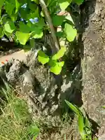 忌宮神社(山口県)