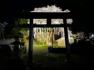 八幡宮社(京都府)