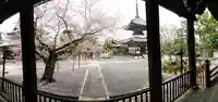 本法寺(京都府)