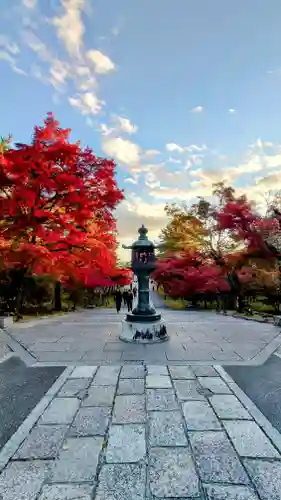 仁和寺(京都府)