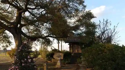相野谷八幡神社(茨城県)