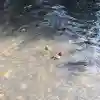 水天宮(北海道)