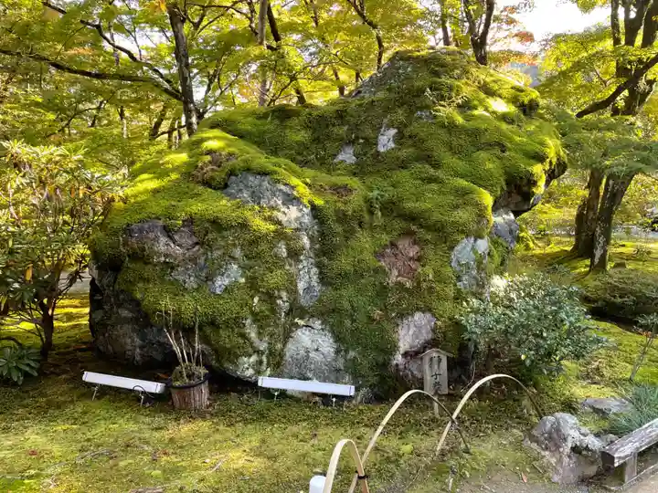 宝厳院(京都府)