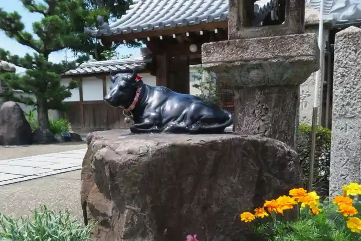 大松禅寺(京都府)