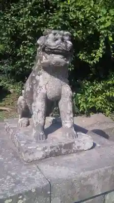 鶴岡八幡宮の狛犬