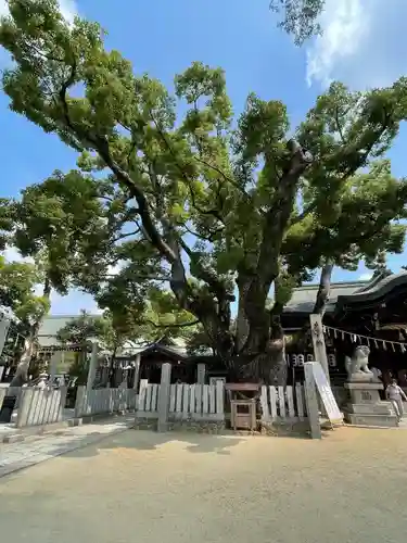 石切劔箭神社の自然