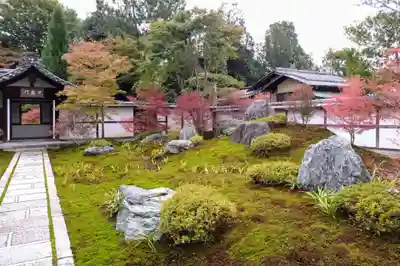 西来院(京都府)