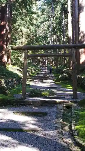 平泉寺白山神社の鳥居