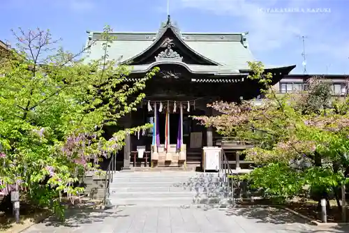 桜神宮の本殿・本堂