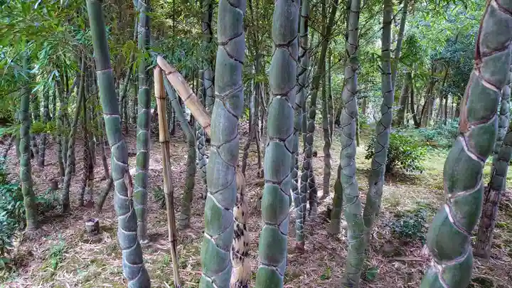 浄住寺(京都府)