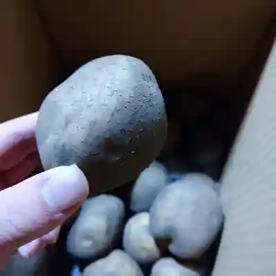 日蓮宗 総本山 塔頭 定林坊(じょうりんぼう)(山梨県)