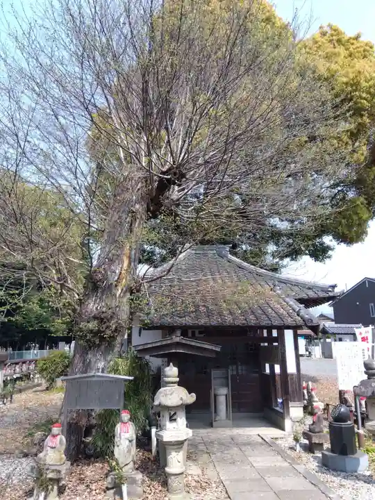 祇園山 徳城寺(愛知県)