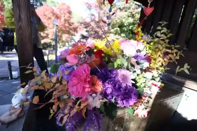 勝林寺(京都府)