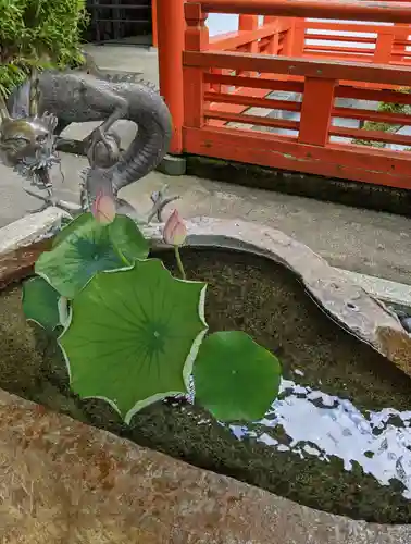 鞍馬寺の手水舎