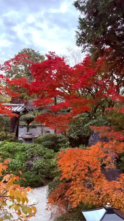 霊源院(京都府)