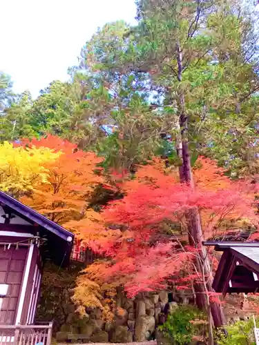 日枝神社の自然