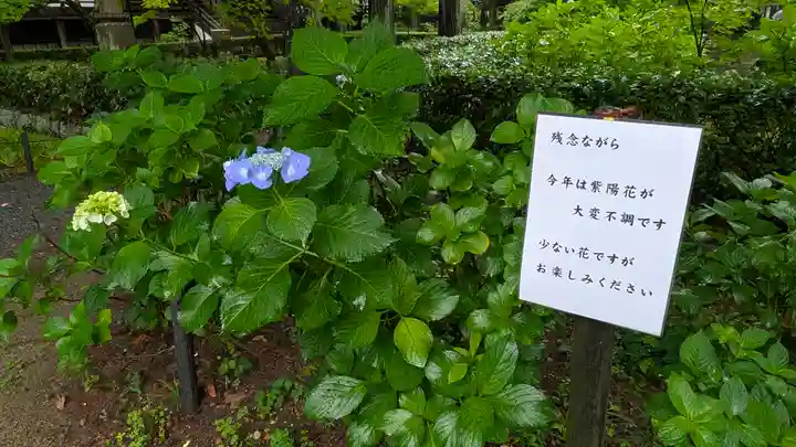 真正極楽寺(真如堂)(京都府)