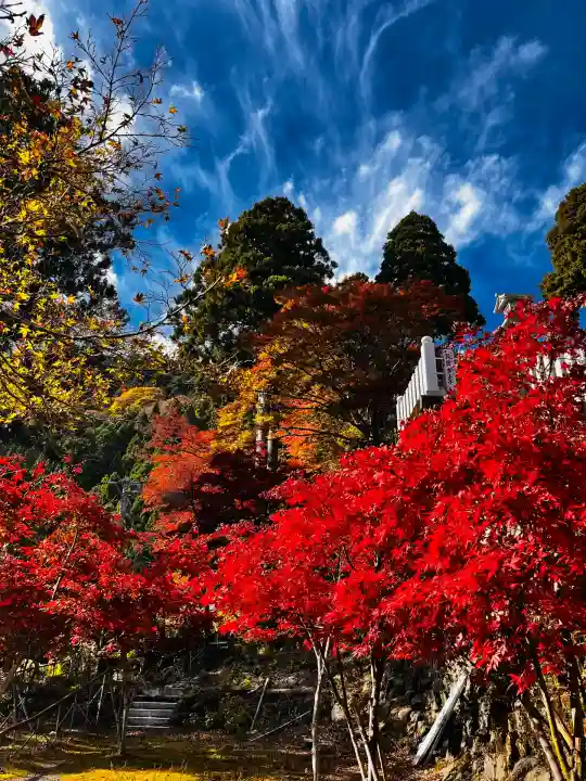 大山阿夫利神社(神奈川県)