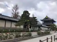東本願寺(真宗本廟)の自然