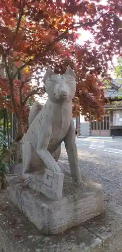 三軒地稲荷神社の狛犬