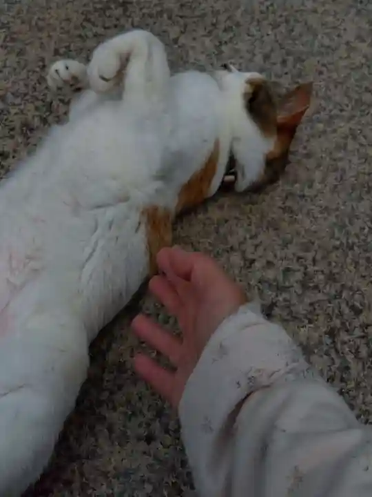 潮音寺(神奈川県)