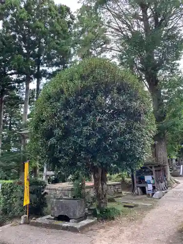 真福寺のその他建物