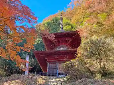 武蔵二宮 金鑚神社(埼玉県)
