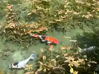 根道神社(岐阜県)