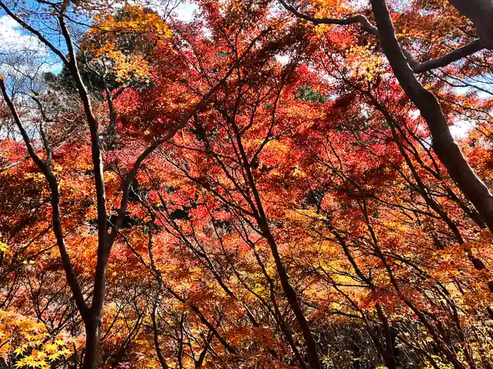 箸蔵寺(徳島県)