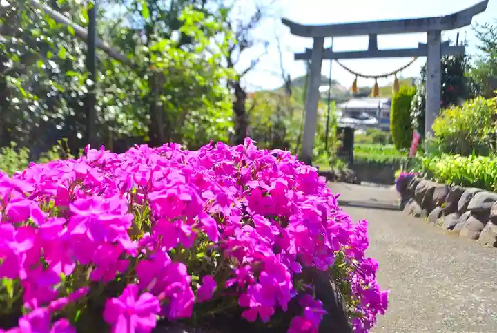 横浜御嶽神社(神奈川県)
