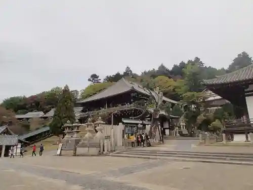 興成神社（東大寺境内社）の景色