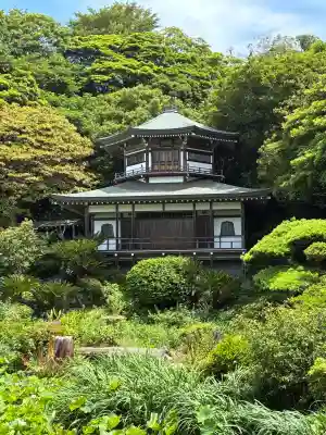 光明寺(神奈川県)