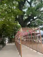 現人神社(福岡県)