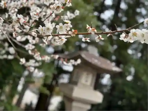 豊景神社(福島県)