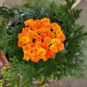 七重浜海津見神社(北海道)(2023年08月05日(土) 09時36分37秒投稿)