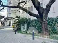 常圓寺の{uncategorized: "未分類", other: "その他", undefined: "問題あり", building: "その他建物", grave: "お墓", sacred_gate: "鳥居", guardian: "狛犬", statue: "像", buddha: "仏像", history: "歴史", nature: "自然", garden: "庭園", animal: "動物", pagoda: "塔", temizu: "手水舎", mountain_gate: "山門・神門", sanctuary: "本殿・本堂", subordinate: "末社・摂社", art: "芸術", scenery: "景色", jizo: "地蔵", ema: "絵馬", goshuin: "御朱印", omikuji: "おみくじ", items: "授与品その他", amulet: "お守り", goshuincho: "御朱印帳", eats: "食事", festival: "お祭り", votive_dance: "神楽", shichigosan: "七五三参", wedding: "結婚式", experience: "体験その他", initially: "初詣", around: "周辺", anti_infection: "感染症対策"}