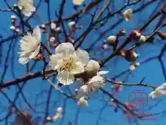 立志神社(滋賀県)