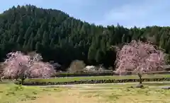 朝倉神社の景色