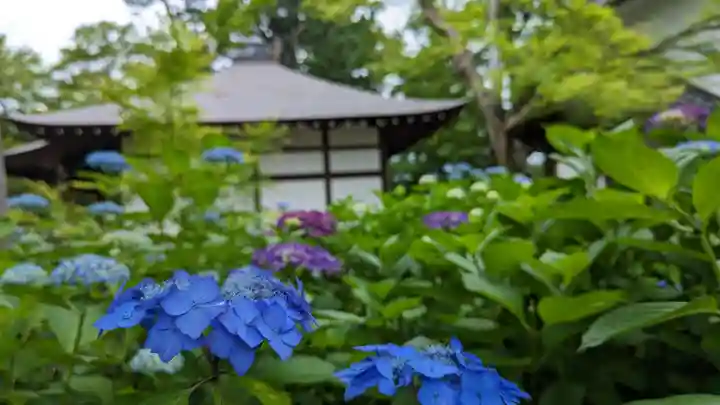 真正極楽寺(真如堂)(京都府)