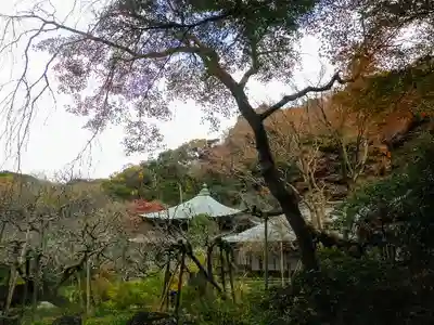 瑞泉寺のその他建物