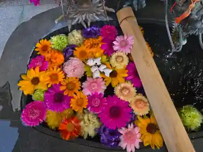 駒込妙義神社(東京都)