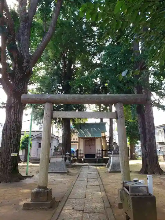 中野天祖神社の鳥居