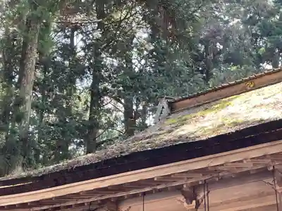 山王院(和歌山県)