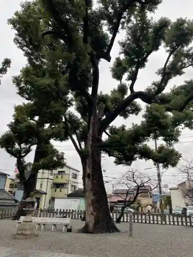 長曽根神社の自然