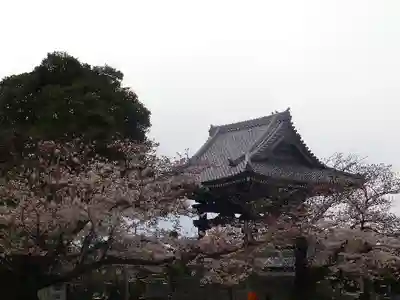 光明寺のその他建物