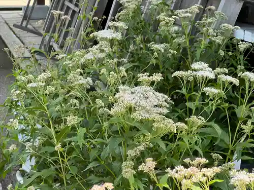 下御霊神社(京都府)