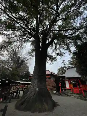 冠稲荷神社(群馬県)