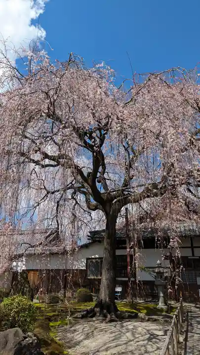 本満寺(本願満足寺)(京都府)